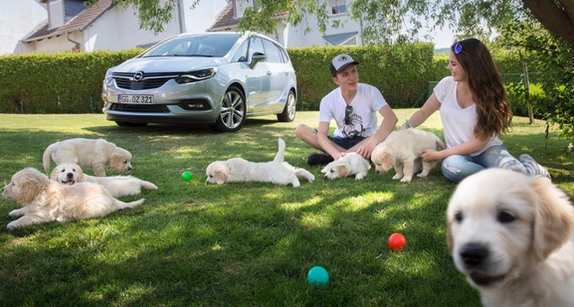 Psi na putovanju: Opel nudi prostor i još nešto više za čitav čopor
